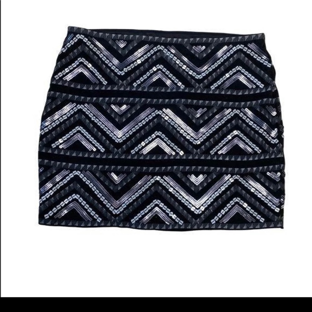 Express Skirt